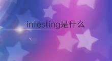 infesting是什么意思 infesting的中文翻译、读音、例句
