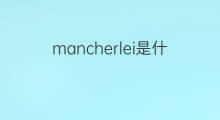 mancherlei是什么意思 mancherlei的中文翻译、读音、例句