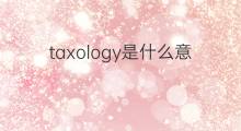taxology是什么意思 taxology的中文翻译、读音、例句