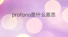 profana是什么意思 profana的翻译、读音、例句、中文解释