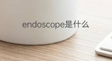 endoscope是什么意思 endoscope的中文翻译、读音、例句