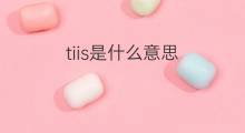 tiis是什么意思 tiis的翻译、读音、例句、中文解释