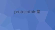 protocotoin是什么意思 protocotoin的中文翻译、读音、例句