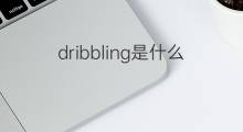 dribbling是什么意思 dribbling的翻译、读音、例句、中文解释