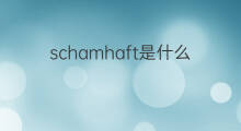 schamhaft是什么意思 schamhaft的中文翻译、读音、例句
