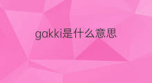 gakki是什么意思 gakki的中文翻译、读音、例句