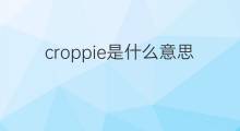 croppie是什么意思 croppie的中文翻译、读音、例句