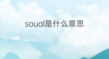 soual是什么意思 soual的中文翻译、读音、例句