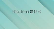 chatterer是什么意思 chatterer的中文翻译、读音、例句