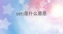 seti是什么意思 seti的中文翻译、读音、例句