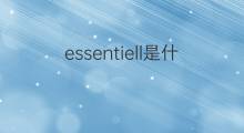 essentiell是什么意思 essentiell的中文翻译、读音、例句