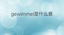 gewimmel是什么意思 gewimmel的中文翻译、读音、例句
