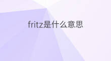 fritz是什么意思 fritz的中文翻译、读音、例句