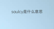 saulcy是什么意思 saulcy的中文翻译、读音、例句