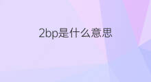 2bp是什么意思 2bp的中文翻译、读音、例句