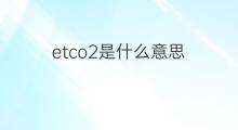 etco2是什么意思 etco2的中文翻译、读音、例句