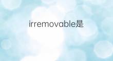 irremovable是什么意思 irremovable的中文翻译、读音、例句