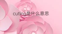 cuting是什么意思 cuting的中文翻译、读音、例句