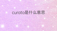 curato是什么意思 curato的中文翻译、读音、例句