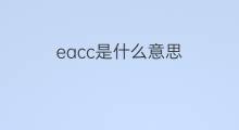 eacc是什么意思 eacc的中文翻译、读音、例句