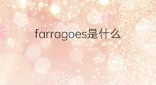 farragoes是什么意思 farragoes的中文翻译、读音、例句