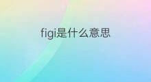 figi是什么意思 figi的中文翻译、读音、例句