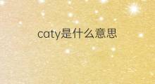 caty是什么意思 caty的中文翻译、读音、例句