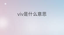 viv是什么意思 viv的中文翻译、读音、例句