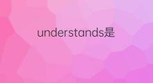 understands是什么意思 understands的中文翻译、读音、例句