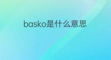 basko是什么意思 basko的中文翻译、读音、例句