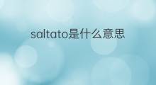 saltato是什么意思 saltato的中文翻译、读音、例句