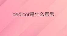 pedicor是什么意思 pedicor的中文翻译、读音、例句