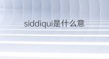 siddiqui是什么意思 siddiqui的中文翻译、读音、例句