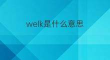 welk是什么意思 英文名welk的翻译、发音、来源