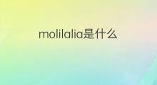 molilalia是什么意思 molilalia的中文翻译、读音、例句