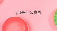 yid是什么意思 yid的中文翻译、读音、例句