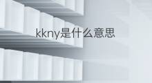 kkny是什么意思 kkny的中文翻译、读音、例句