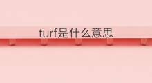 turf是什么意思 turf的中文翻译、读音、例句