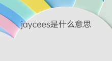 jaycees是什么意思 jaycees的中文翻译、读音、例句