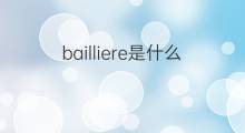 bailliere是什么意思 bailliere的中文翻译、读音、例句