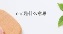 cnc是什么意思 cnc的中文翻译、读音、例句