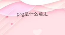 prg是什么意思 prg的中文翻译、读音、例句