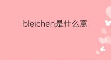 bleichen是什么意思 bleichen的中文翻译、读音、例句