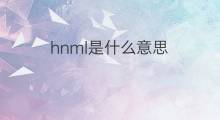 hnml是什么意思 hnml的中文翻译、读音、例句