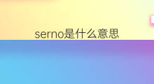 serno是什么意思 serno的中文翻译、读音、例句