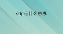 sdp是什么意思 sdp的中文翻译、读音、例句