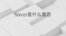 savor是什么意思 savor的中文翻译、读音、例句