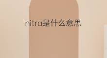 nitra是什么意思 nitra的中文翻译、读音、例句