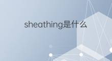 sheathing是什么意思 sheathing的中文翻译、读音、例句