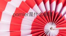pamier是什么意思 pamier的中文翻译、读音、例句